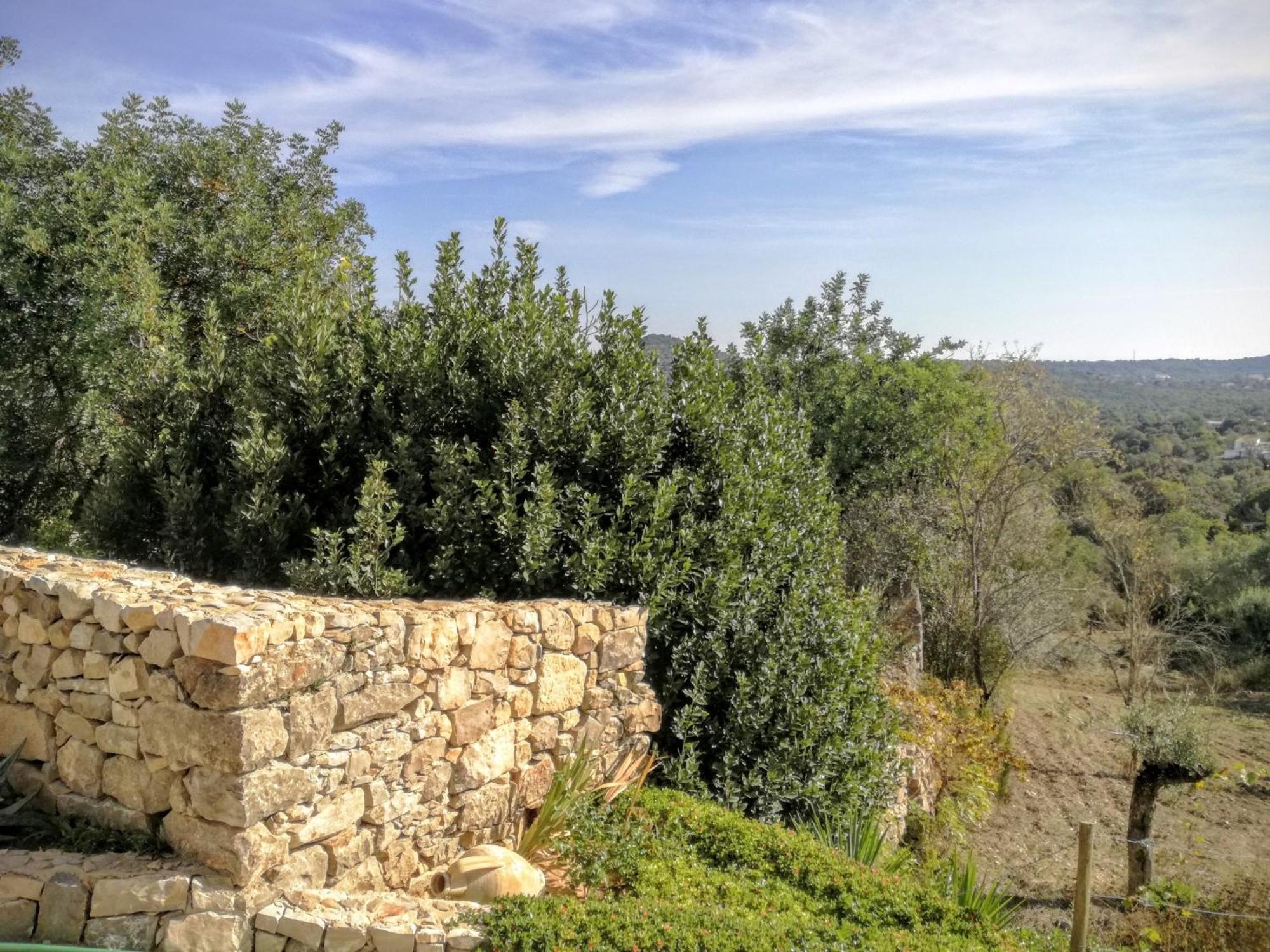 Monte Da Ribeira Villa Estoi Phòng bức ảnh